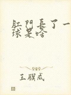 肛门长了一快肉球是啥