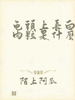 龟头上长白色小肉粒是什么原因