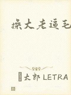 操大老逼毛片