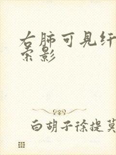 右肺可见纤维条索影