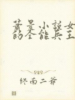 萧晨小说女总裁的全能兵王