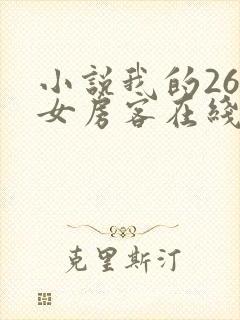 小说我的26岁女房客在线观看