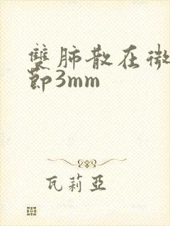 双肺散在微小结节3mm