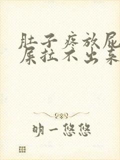 肚子疼放屁想拉屎拉不出来怎么回事封面