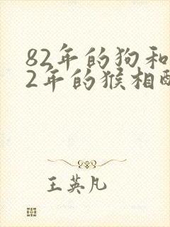 82年的狗和92年的猴相配婚姻如何封面