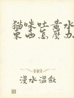 猫咪吐黄水不吃东西怎么办