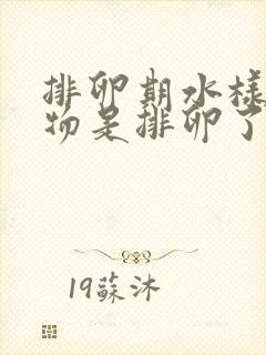 排卵期水样分泌物是排卵了吗