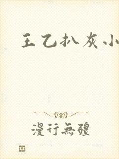 王乙扒灰小说封面