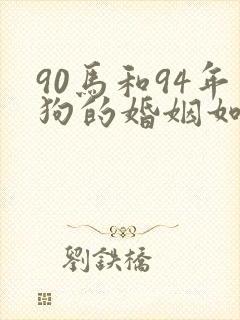90马和94年狗的婚姻如何