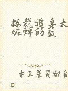 总裁追妻太强悍婉转的蓝封面