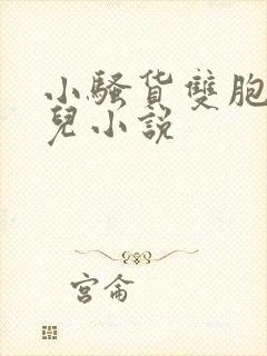 小骚货双胞胎女儿小说