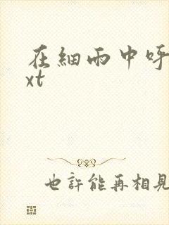 在细雨中呼喊txt