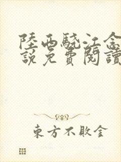 陆西骁江念知小说免费阅读最新章节