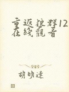 重返狼群12集在线观看