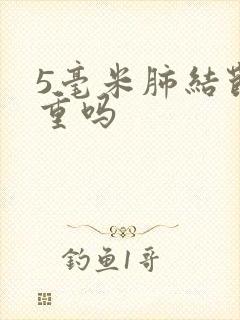 5毫米肺结节严重吗