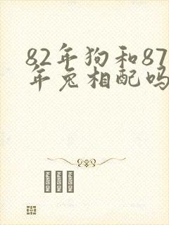 82年狗和87年兔相配吗封面