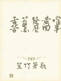 舌苔发黄嘴里发苦怎么回事