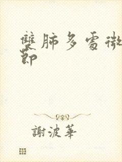 双肺多处微小结节