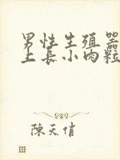 男性生殖器包皮上长小肉粒