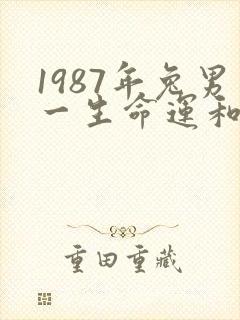 1987年兔男一生命运和婚姻