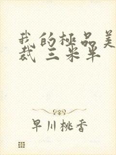 我的极品美女总裁 三米半