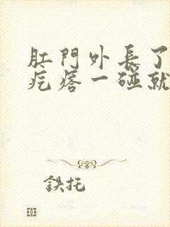 肛门外长了个硬疙瘩一碰就疼封面