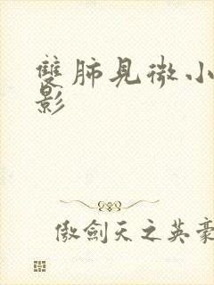 双肺见微小结节影