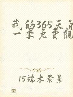 我的365天第一季免费观看全集