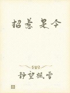 招惹 是今