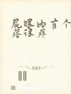 屁眼内有个硬疙瘩很疼封面