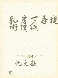 乳房下垂提升手术价钱