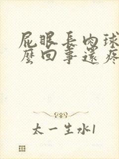 屁眼长肉球是怎么回事还疼