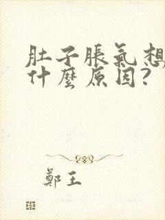 肚子胀气想吐是什么原因?