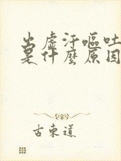 出虚汗呕吐头晕是什么原因引起的