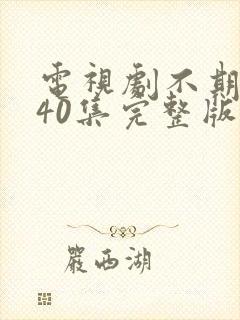 电视剧不期而至40集完整版免费观看