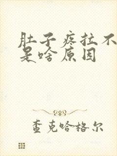 肚子疼拉不出屎是啥原因