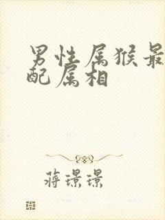 男性属猴最佳婚配属相