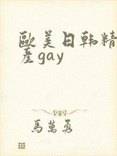 欧美日韩精品国产gay
