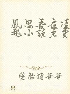 凤思吾夜凌寻穿越小说免费阅读封面