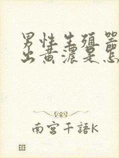 男性生殖器管道出黄浓是怎么回事封面