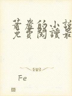 萧岩的小说全文免费阅读最新