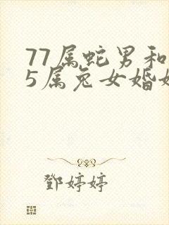 77属蛇男和75属兔女婚姻封面