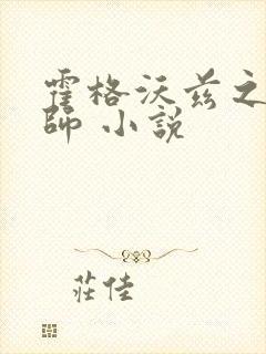 霍格沃兹之灰巫师 小说