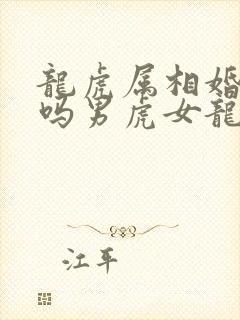 龙虎属相婚配好吗男虎女龙