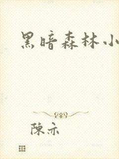 黑暗森林小说