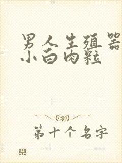 男人生殖器长起小白肉粒