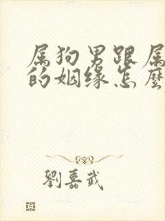 属狗男跟属鸡女的姻缘怎么样