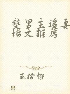 双男主追妻火葬场文推荐封面