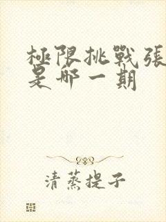 极限挑战张艺凡是哪一期封面