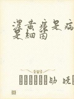 浓黄痰是病毒还是细菌